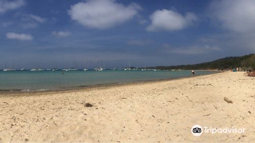 Plage de la Courtade