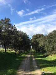 Ecopista de Evora - Ramal de Mora