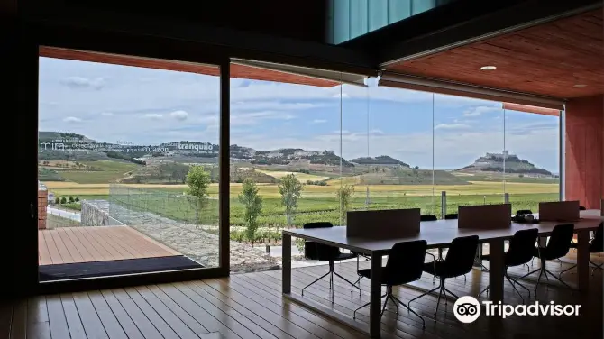 5_Pago de Carraovejas - Finca y Bodega