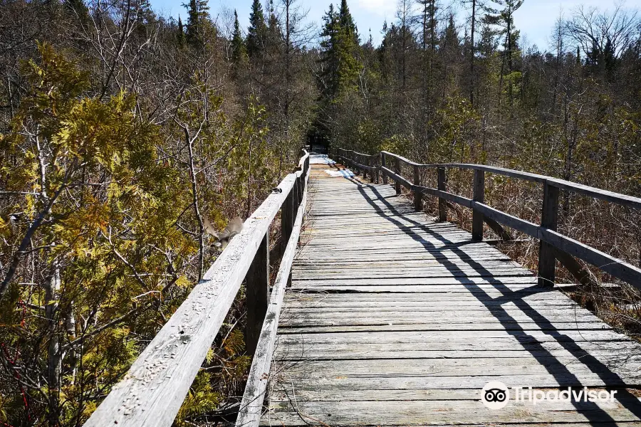 Ken Reid Conservation Area