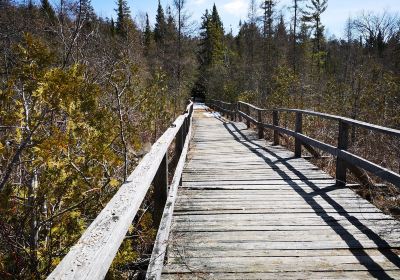 Kawartha Lakes