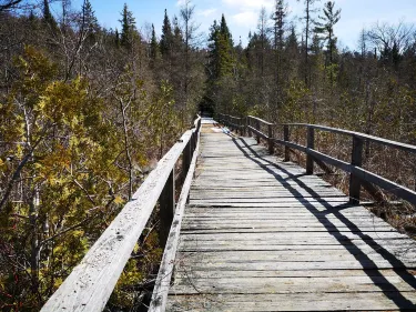 Kawartha Lakes