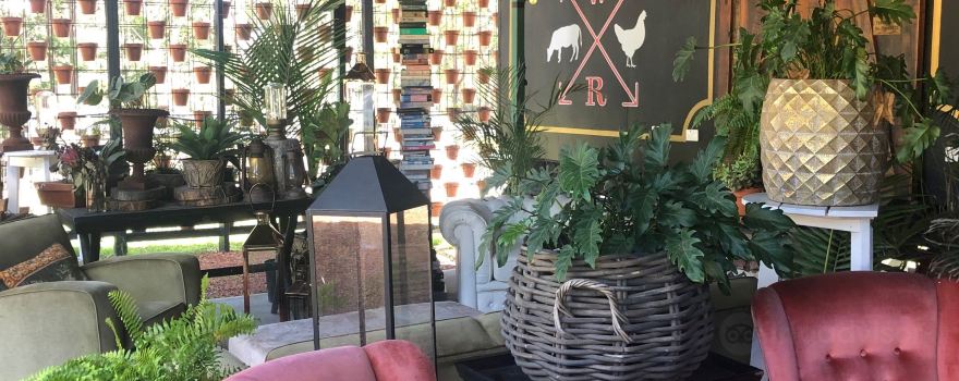The Organic Day Spa