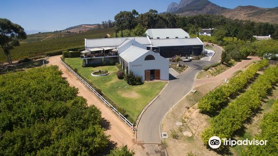 Marianne Wine Estate