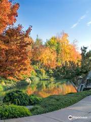 Shinzen Japanese Garden