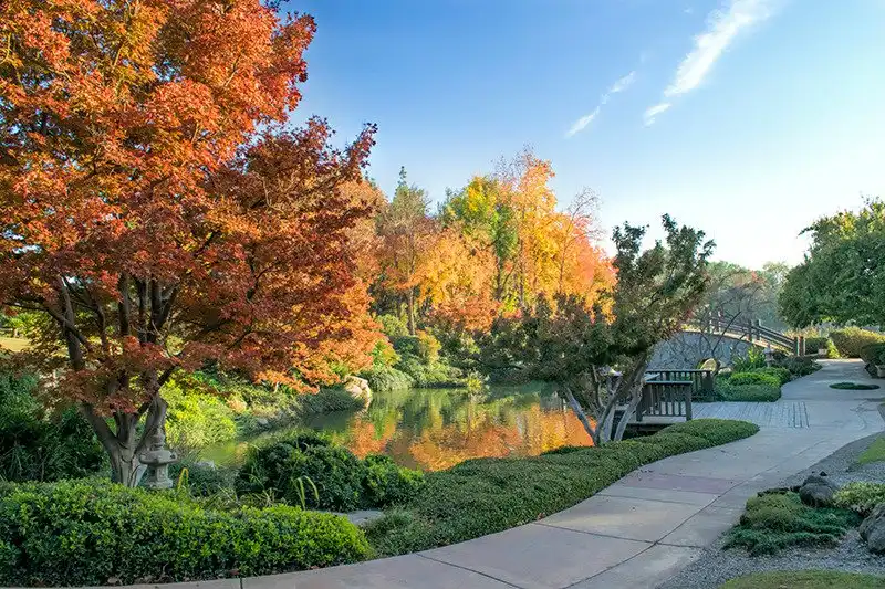 Các khách sạn gần Shinzen Japanese Garden