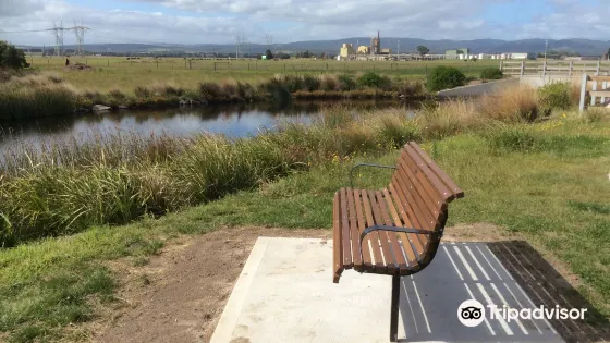 Firmins Lane Wetlands