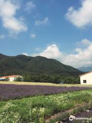 Hani Lavender Farm