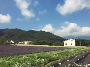 Hani Lavender Farm