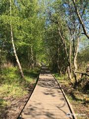 Lattersey Local Nature Reserve