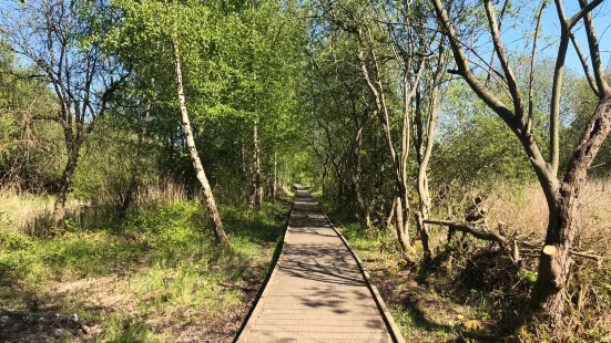 Lattersey Local Nature Reserve