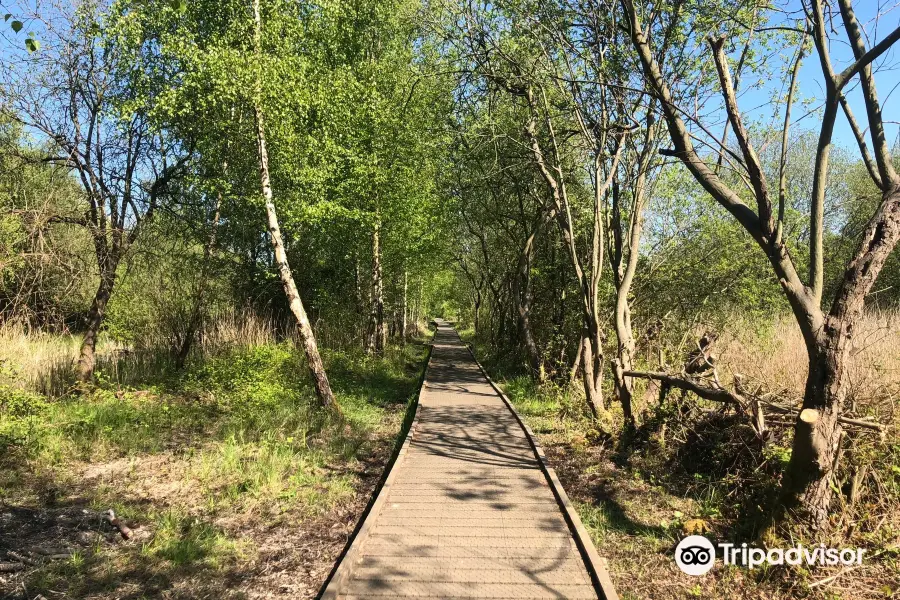 Lattersey Local Nature Reserve