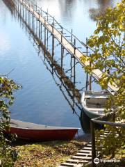 Lamprey Weirs