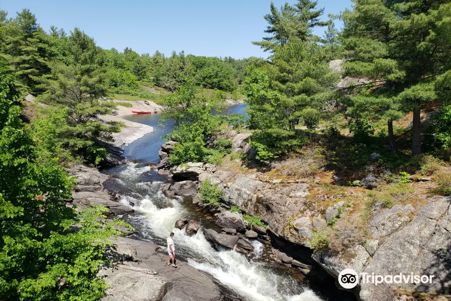 McCrae Lake Conservation Trail