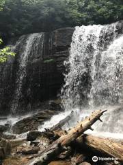 Glen Onoko Falls Trail