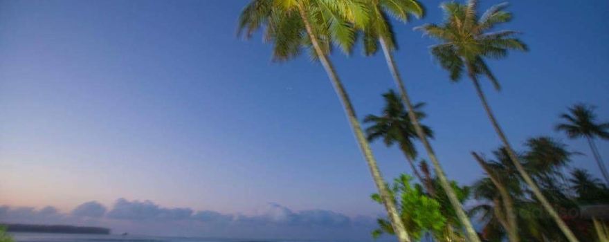 Aloha Surf Camp