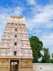 Srinivasa Mangapuram Temple