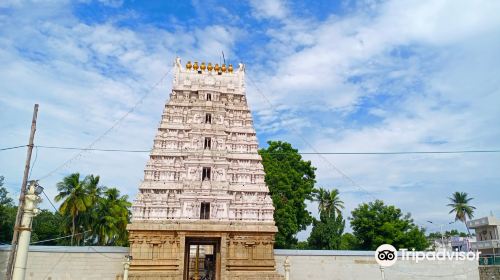 Srinivasa Mangapuram Temple