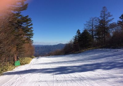 Koumi Reex Ski Valley