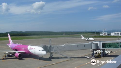 Tancho Kushiro Airport Pickup and Drop-off Deck