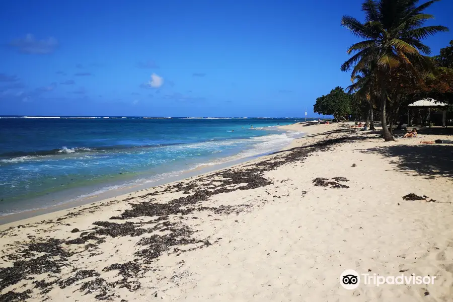 Plage de l'Autre Bord