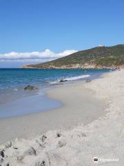 Spiaggia di Ghjunchitu