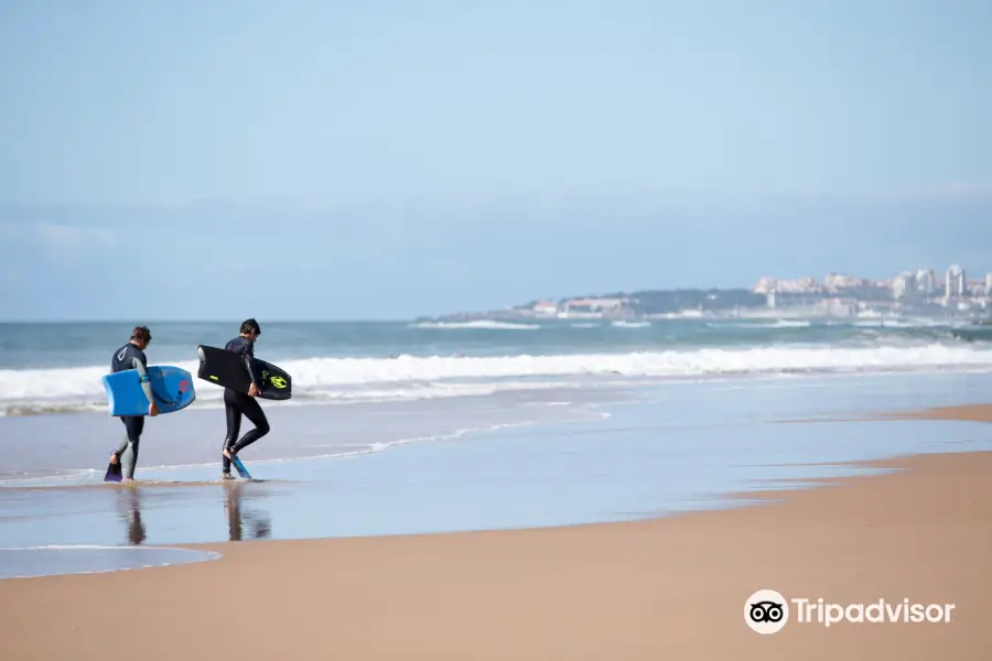 Pure Emocean Bodyboarding School