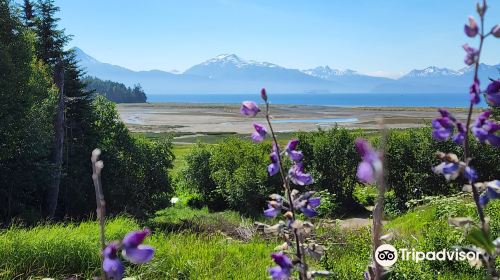 Alaska Islands and Ocean Visitor Center