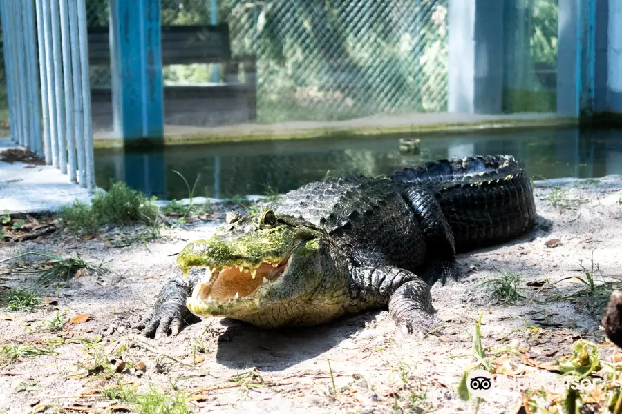 Tarpon Springs Aquarium and Animal Sanctuary