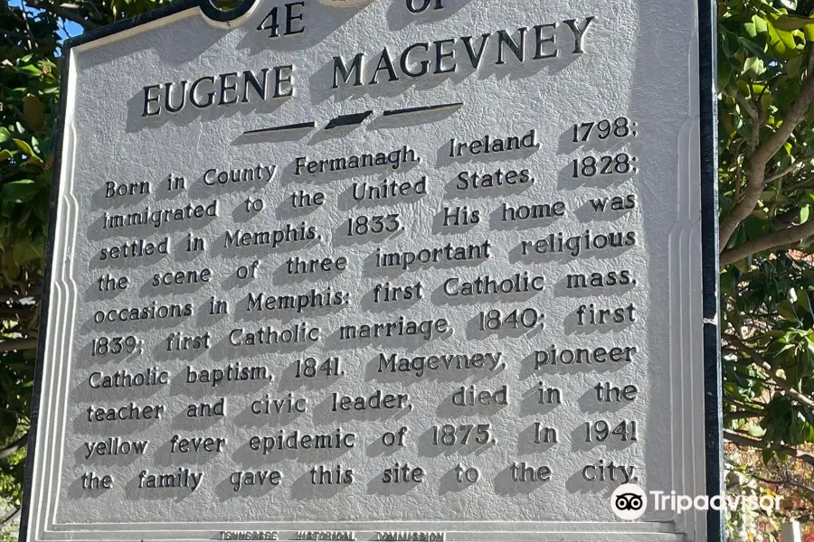 Magevney House