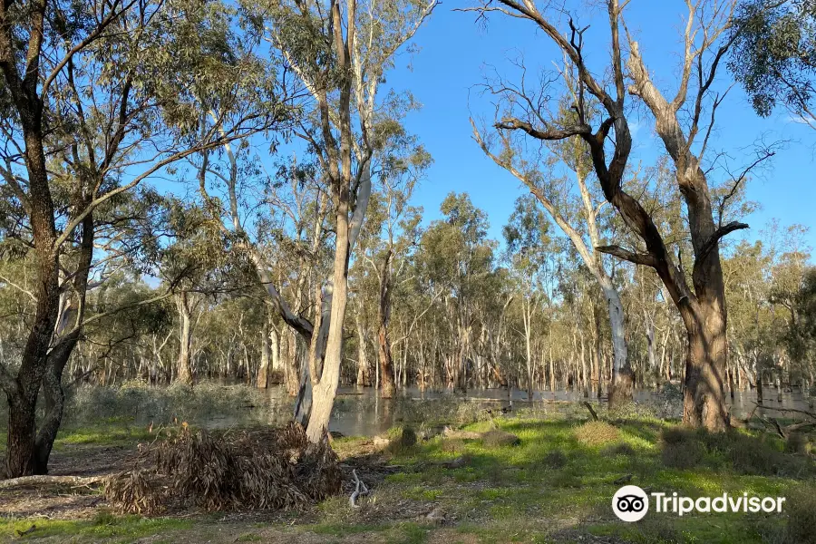 Murray Valley National Park