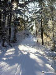 North Bay Nordic Ski Club