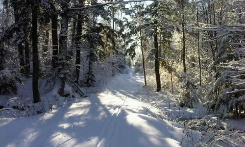 North Bay Nordic Ski Club