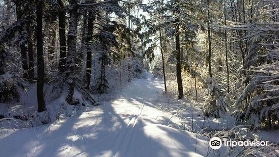 North Bay Nordic Ski Club