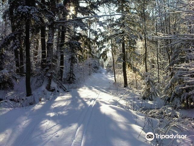 North Bay Nordic Ski Club