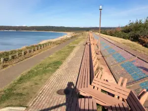 Longest Bench in the World