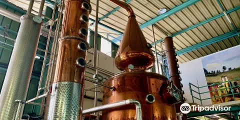 茉莉雅島果汁廠