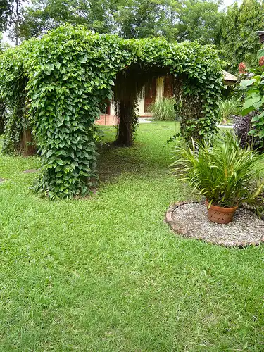 Hotel in zona Dokmai Garden