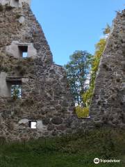 Bergkvara Castle
