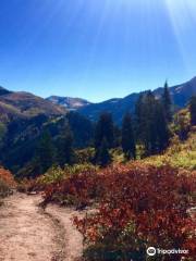 Mill Creek Canyon