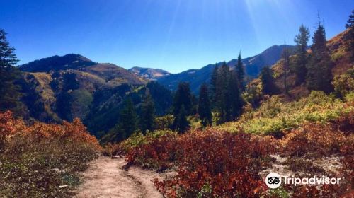 Mill Creek Canyon