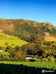 Constantia Valley