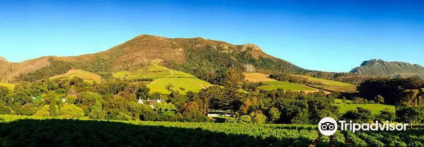 Constantia Valley