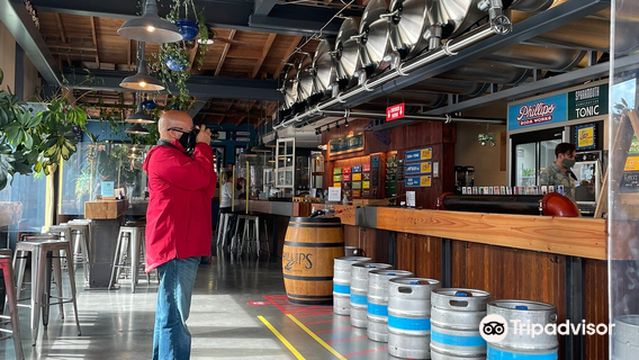 Phillips Brewing & Malting Beer Shop