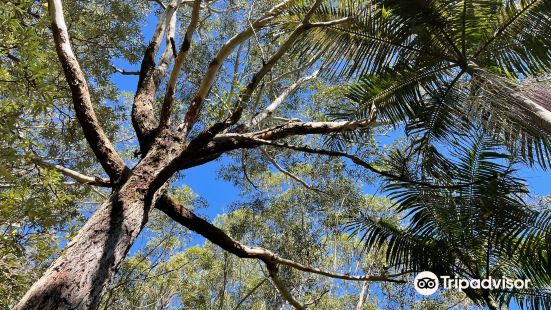 Port Stephens Native Flora Garden