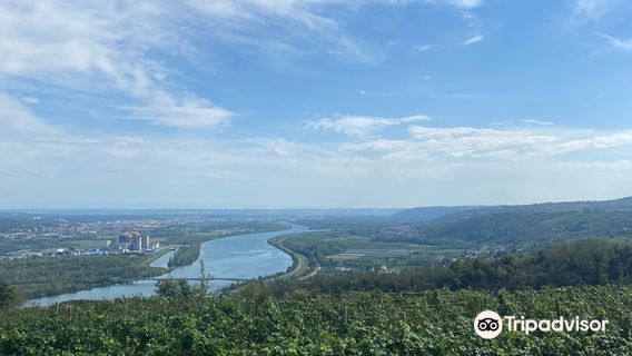 Domaine du Monteillet