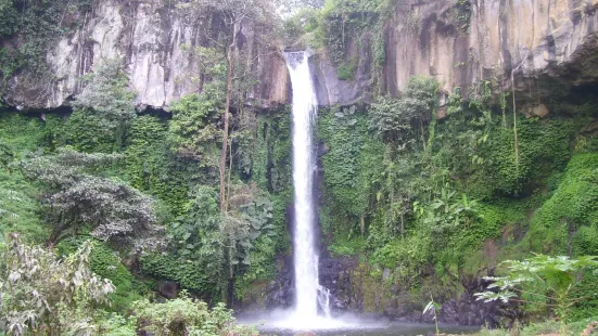 Coban Jahe Waterfall