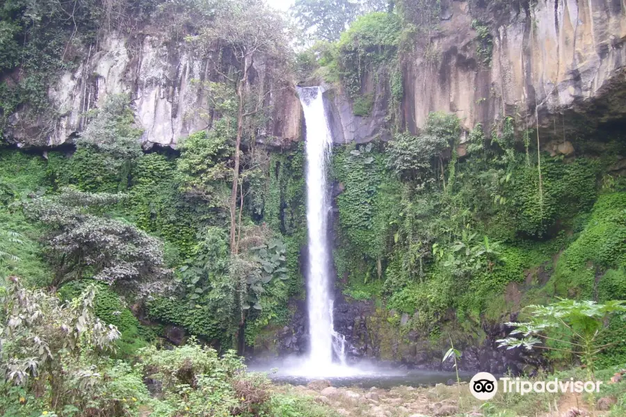 Coban Jahe Waterfall