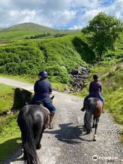 Lakeland Pony Trek