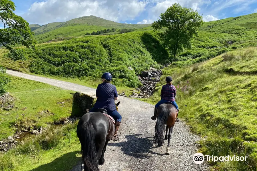 Lakeland Pony Trek